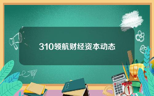 310领航财经资本动态