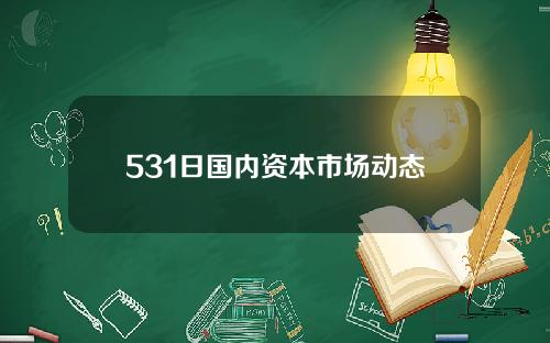 531日国内资本市场动态