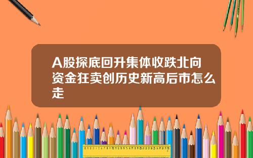 A股探底回升集体收跌北向资金狂卖创历史新高后市怎么走