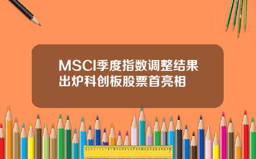 MSCI季度指数调整结果出炉科创板股票首亮相