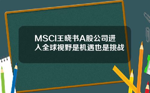 MSCI王晓书A股公司进入全球视野是机遇也是挑战