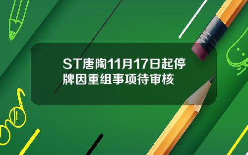 ST唐陶11月17日起停牌因重组事项待审核