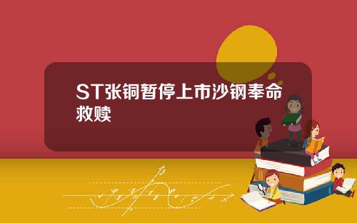 ST张铜暂停上市沙钢奉命救赎