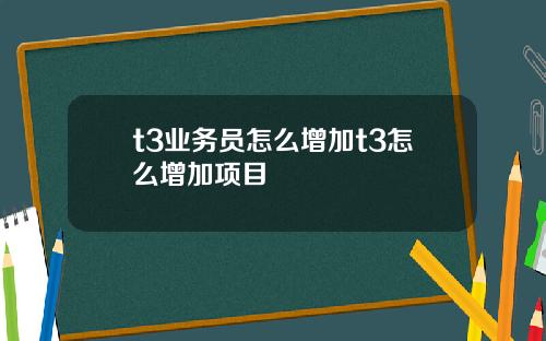 t3业务员怎么增加t3怎么增加项目