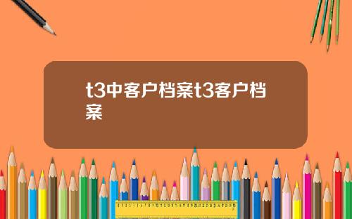 t3中客户档案t3客户档案