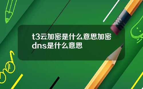 t3云加密是什么意思加密dns是什么意思