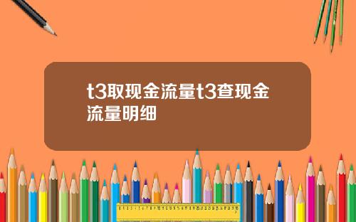 t3取现金流量t3查现金流量明细