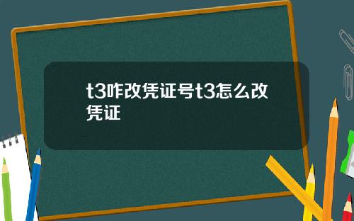 t3咋改凭证号t3怎么改凭证