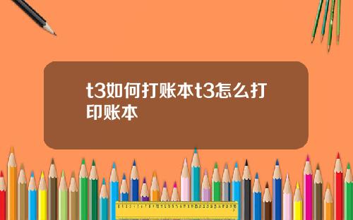 t3如何打账本t3怎么打印账本