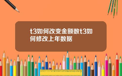 t3如何改变金额数t3如何修改上年数据