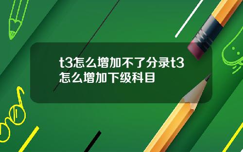 t3怎么增加不了分录t3怎么增加下级科目