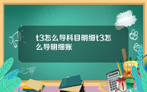 t3怎么导科目明细t3怎么导明细账