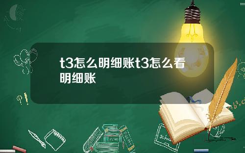 t3怎么明细账t3怎么看明细账