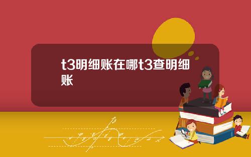 t3明细账在哪t3查明细账