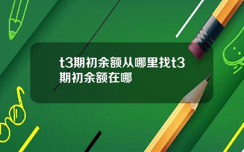 t3期初余额从哪里找t3期初余额在哪