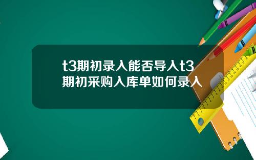 t3期初录入能否导入t3期初采购入库单如何录入