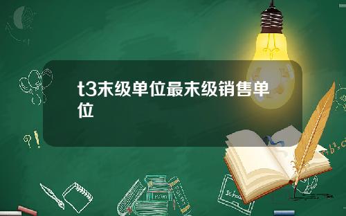 t3末级单位最末级销售单位