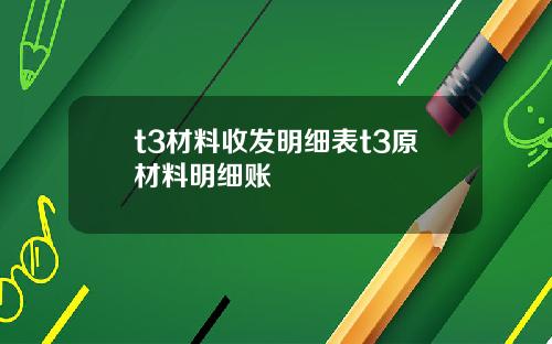 t3材料收发明细表t3原材料明细账