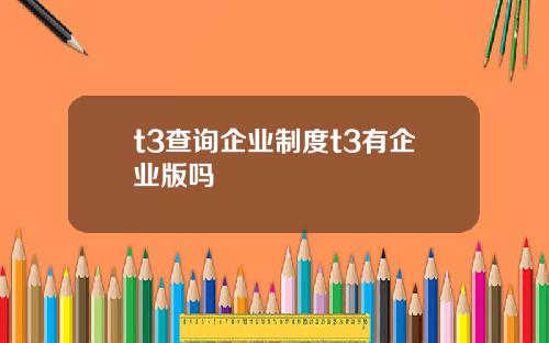 t3查询企业制度t3有企业版吗