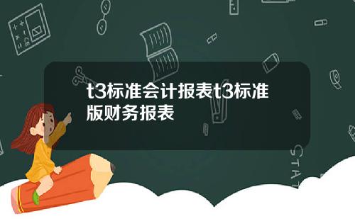 t3标准会计报表t3标准版财务报表