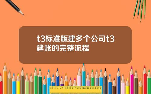 t3标准版建多个公司t3建账的完整流程