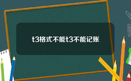 t3格式不能t3不能记账