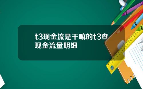 t3现金流是干嘛的t3查现金流量明细