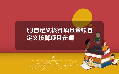 t3自定义核算项目金蝶自定义核算项目在哪