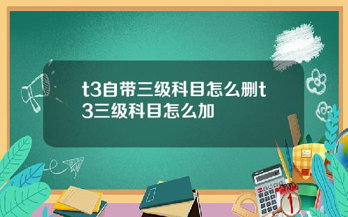 t3自带三级科目怎么删t3三级科目怎么加