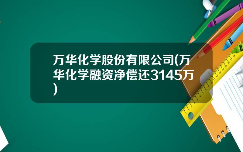 万华化学股份有限公司(万华化学融资净偿还3145万)