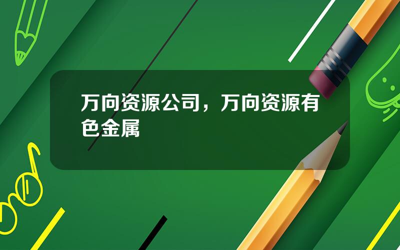 万向资源公司，万向资源有色金属