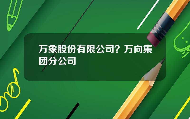 万象股份有限公司？万向集团分公司