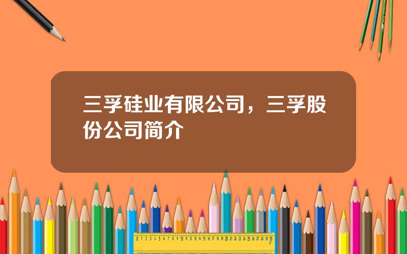 三孚硅业有限公司，三孚股份公司简介