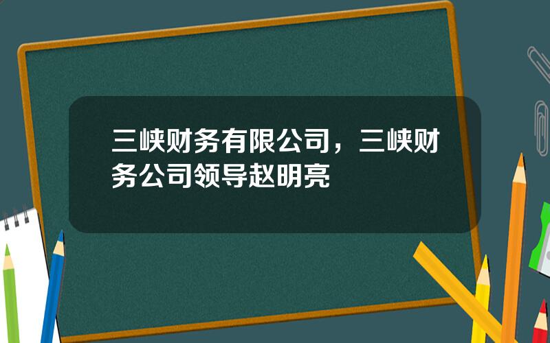 三峡财务有限公司，三峡财务公司领导赵明亮