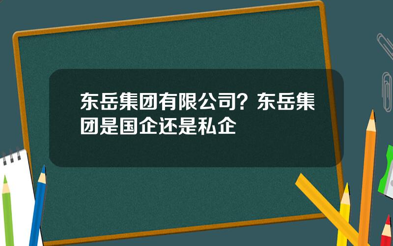 东岳集团有限公司？东岳集团是国企还是私企