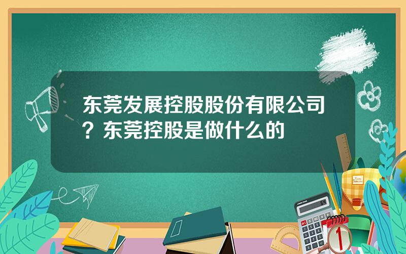 东莞发展控股股份有限公司？东莞控股是做什么的