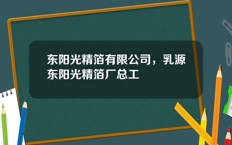 东阳光精箔有限公司，乳源东阳光精箔厂总工