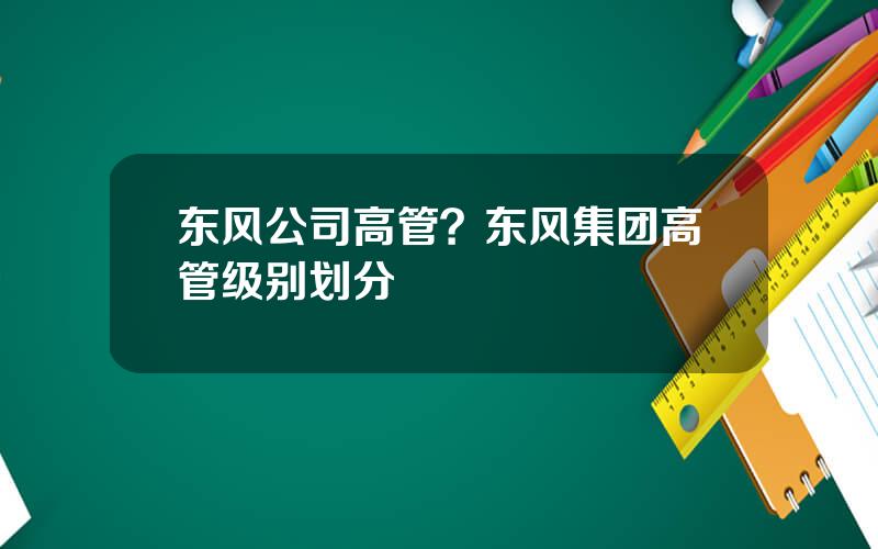 东风公司高管？东风集团高管级别划分