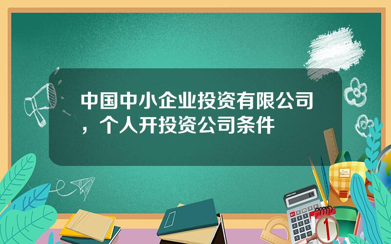 中国中小企业投资有限公司，个人开投资公司条件