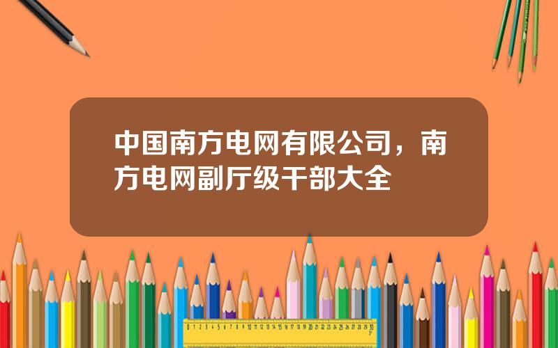 中国南方电网有限公司，南方电网副厅级干部大全