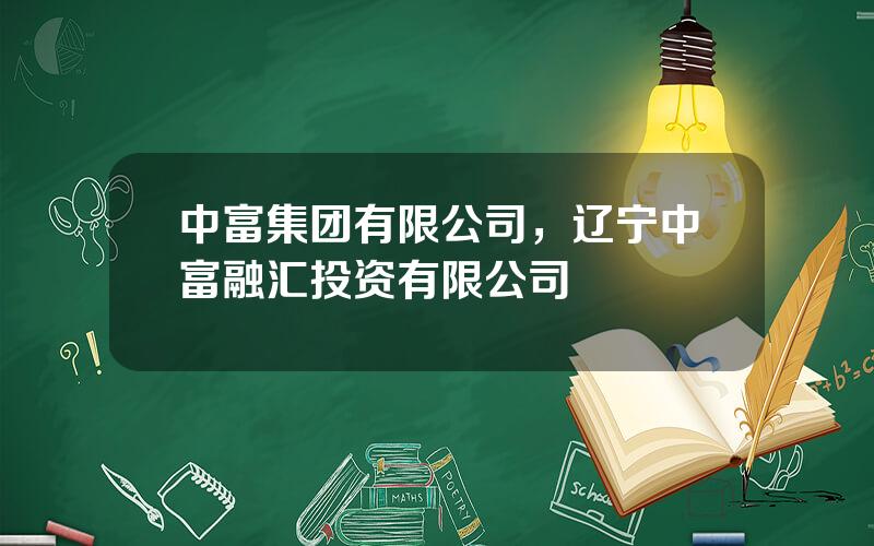 中富集团有限公司，辽宁中富融汇投资有限公司