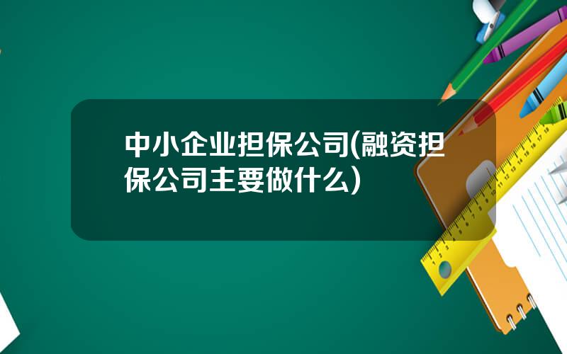 中小企业担保公司(融资担保公司主要做什么)