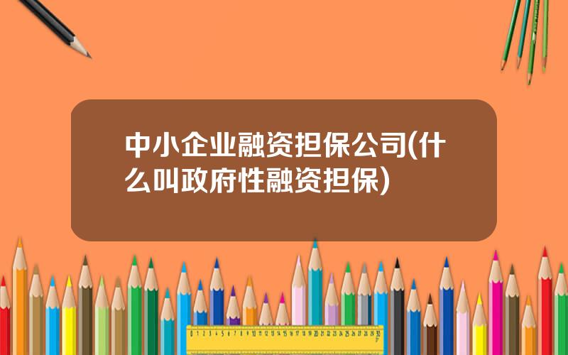 中小企业融资担保公司(什么叫政府性融资担保)