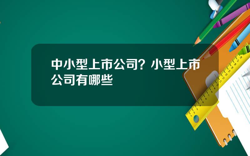 中小型上市公司？小型上市公司有哪些