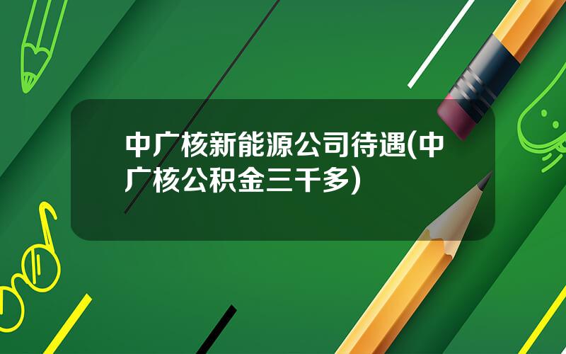 中广核新能源公司待遇(中广核公积金三千多)