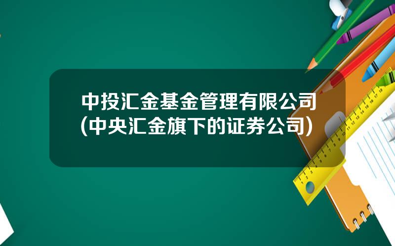 中投汇金基金管理有限公司(中央汇金旗下的证券公司)