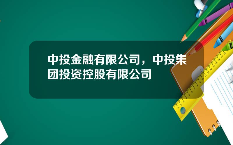 中投金融有限公司，中投集团投资控股有限公司