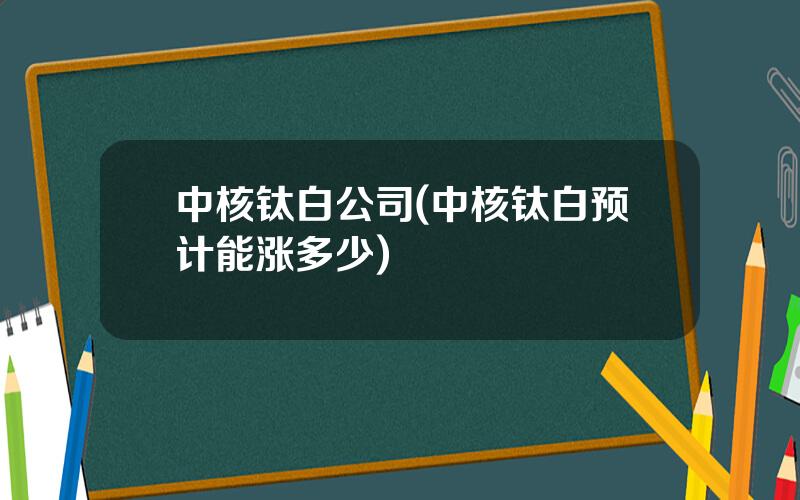 中核钛白公司(中核钛白预计能涨多少)