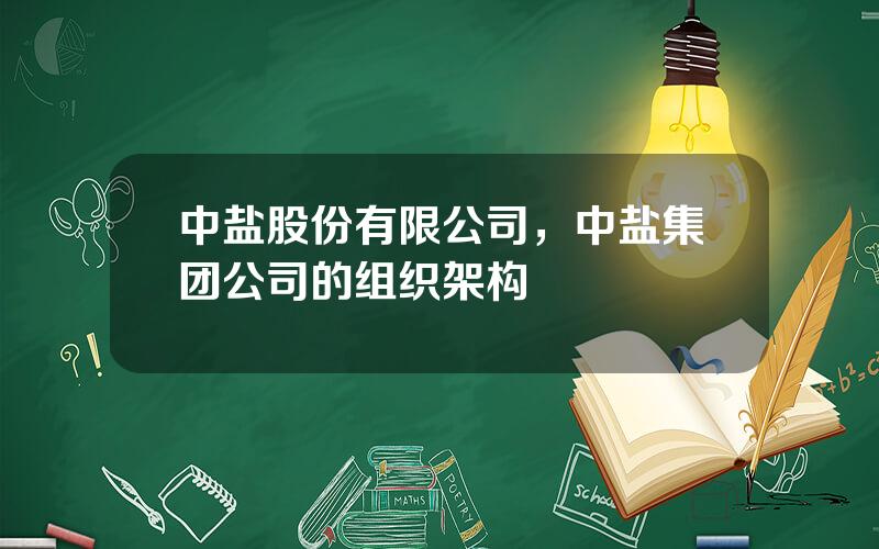 中盐股份有限公司，中盐集团公司的组织架构