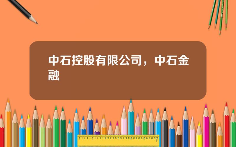 中石控股有限公司，中石金融